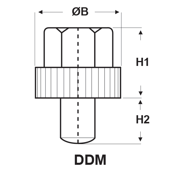 DDM-tecn.jpg