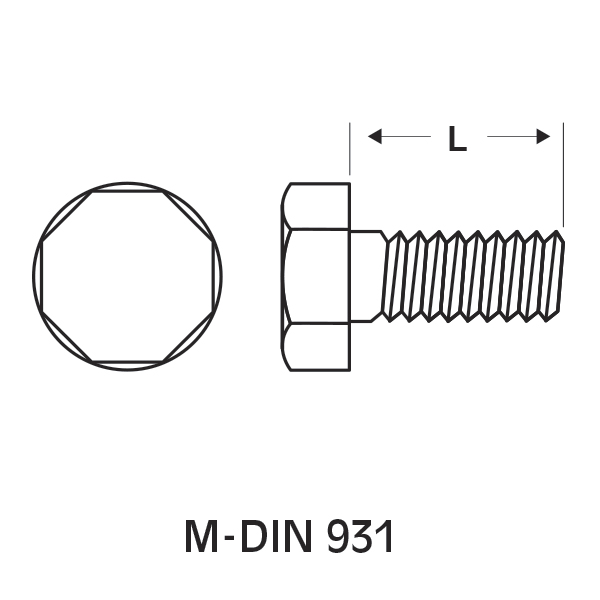 M-DIN-931-tecn.jpg