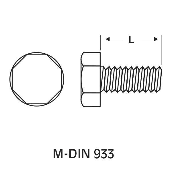 M-DIN-933-tecn.jpg