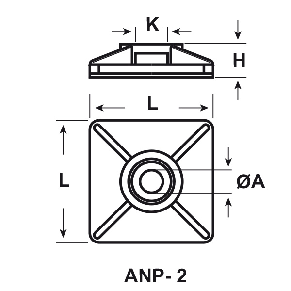 anp-2-tecn.jpg