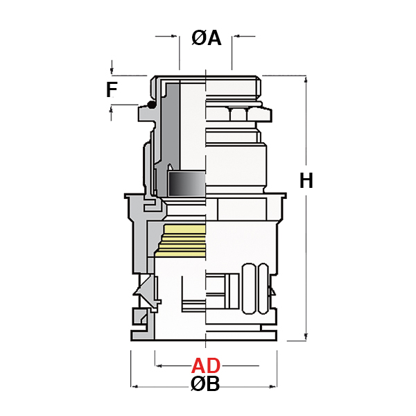 rqgkz-m-tecn.jpg