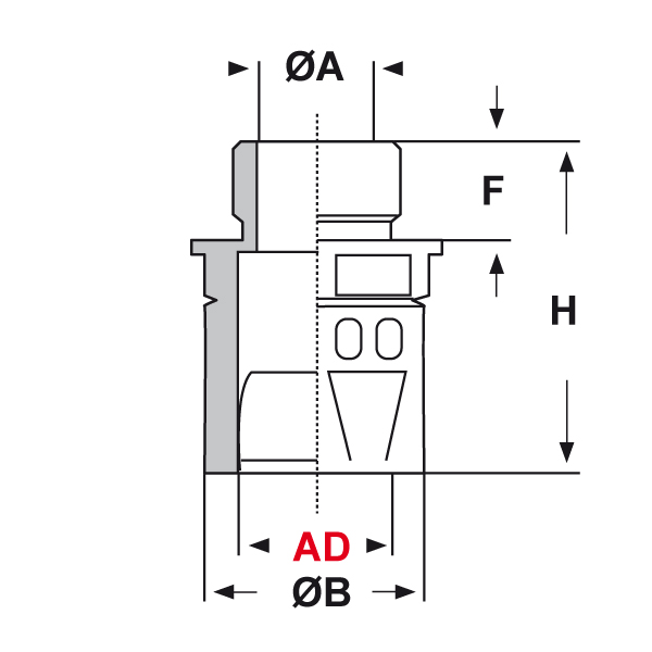 rqlg1-m-tecn.jpg