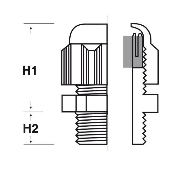 tec-s-M-tecn.jpg